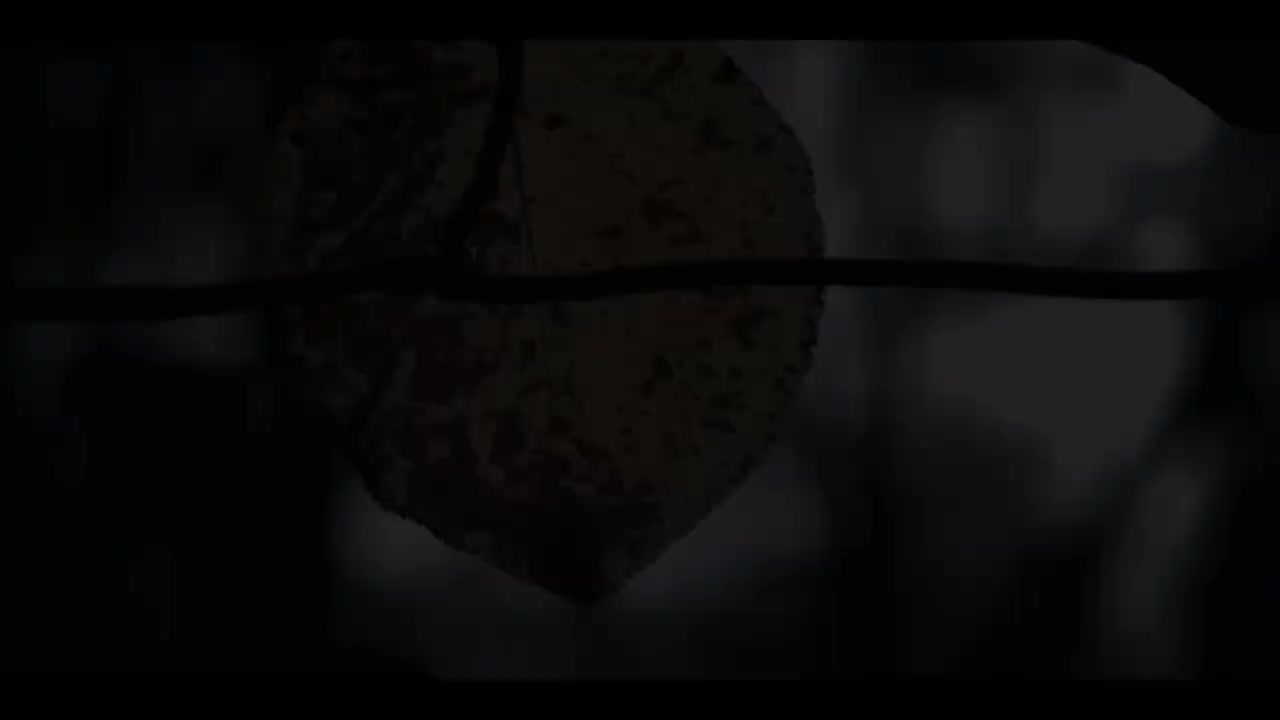 Our Last Night - 'Same Old War'