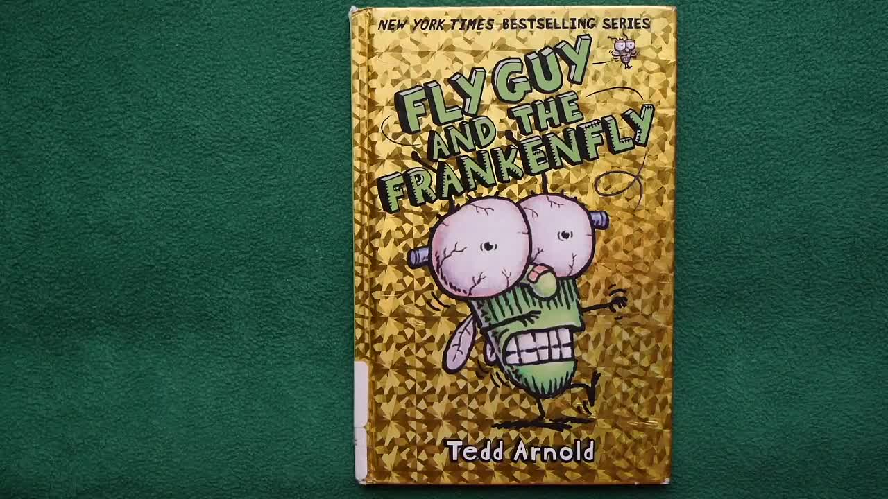 Fly guy 苍蝇小子【13】Fly Guy and the Frankenfly 外教精讲