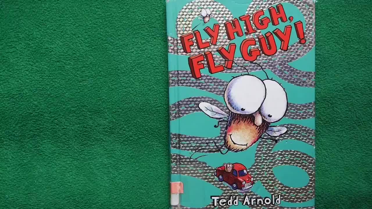 Fly guy 苍蝇小子【05】Fly High, Fly Guy 外教精讲