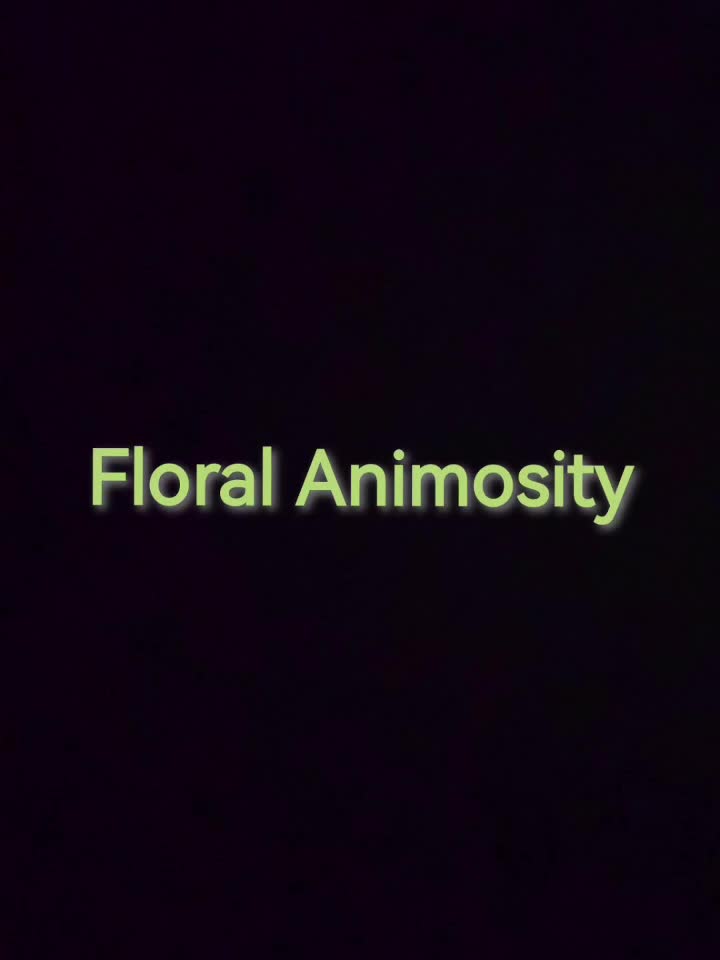泰拉瑞亚Calamity模组（Infernum） 花卉之恨--Floral Animosity（世纪之花）