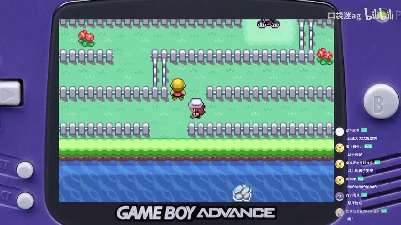 抓闪电鸟-红莲镇