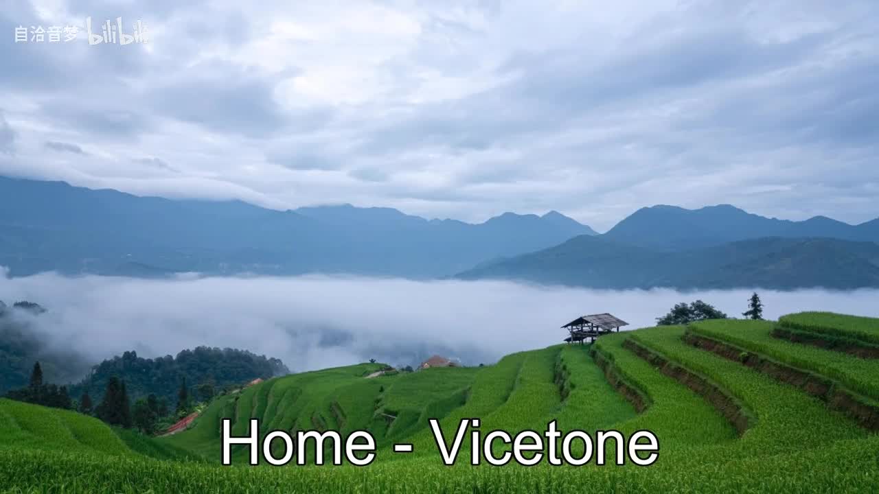 Vicetone_Home