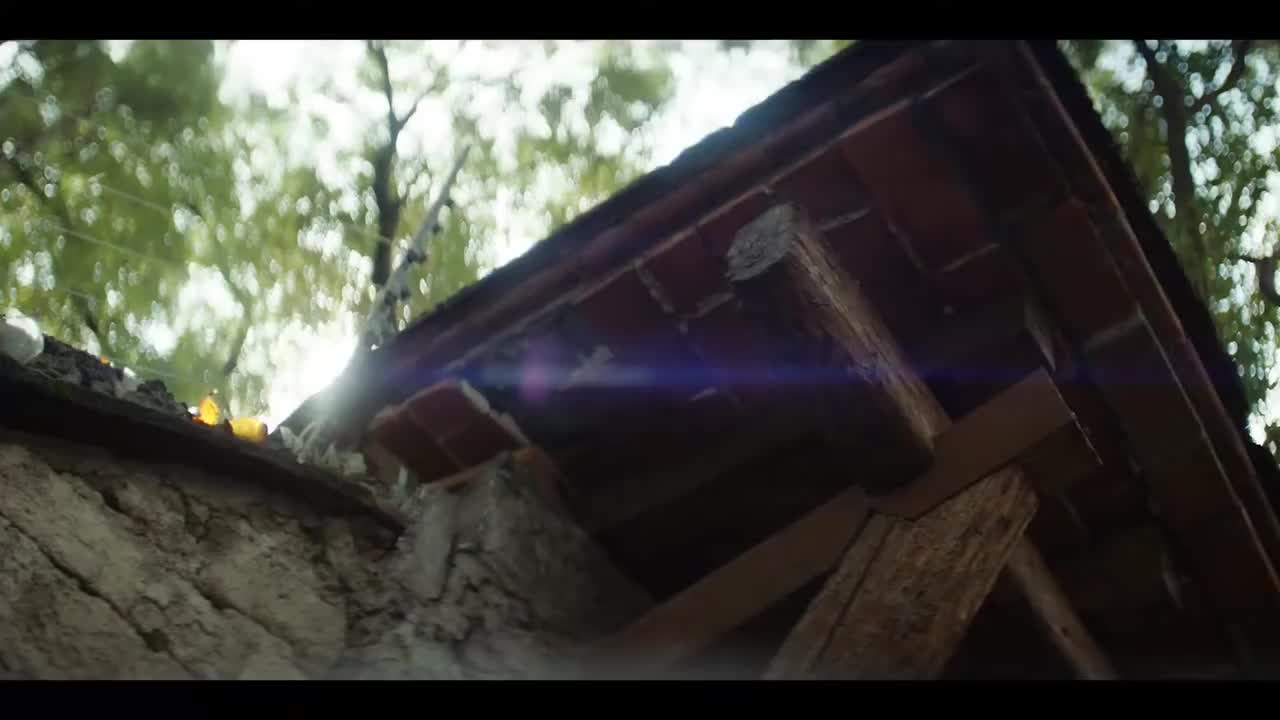 【入围赛DAY2】欧洲队伍正在墨西哥掀起快感