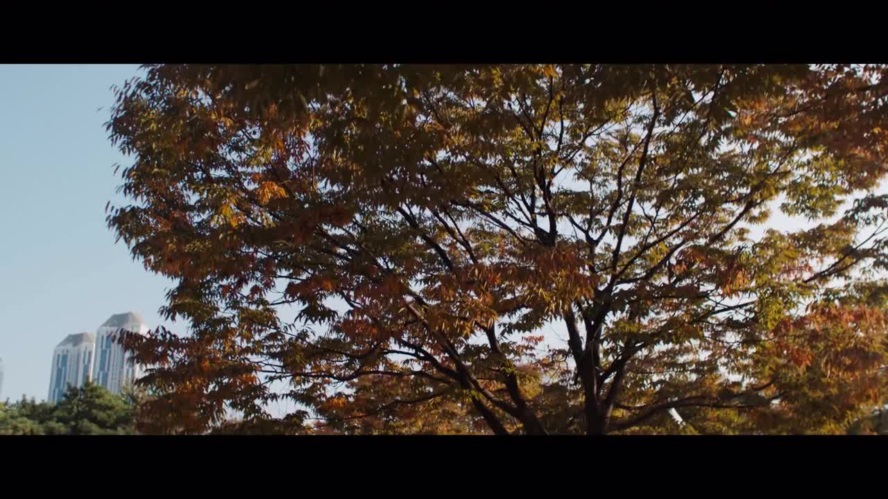 【八强赛DAY3】双强奇谋