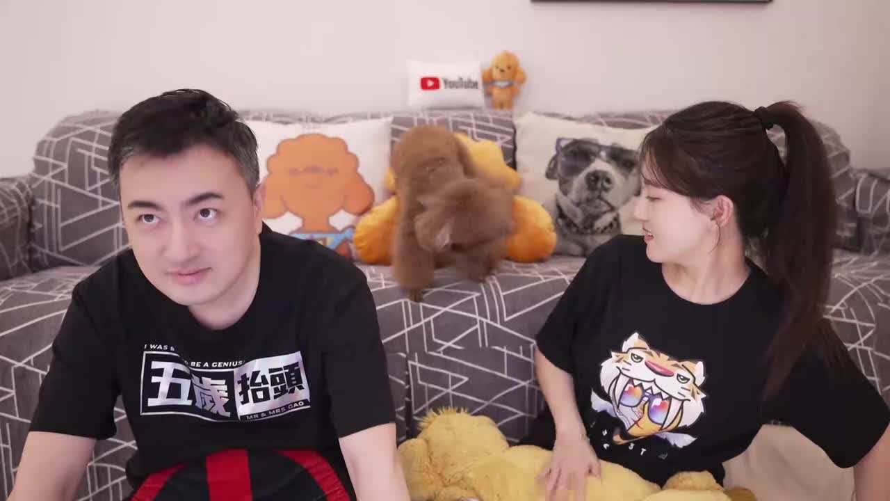 150-不要努力奥！【2024】