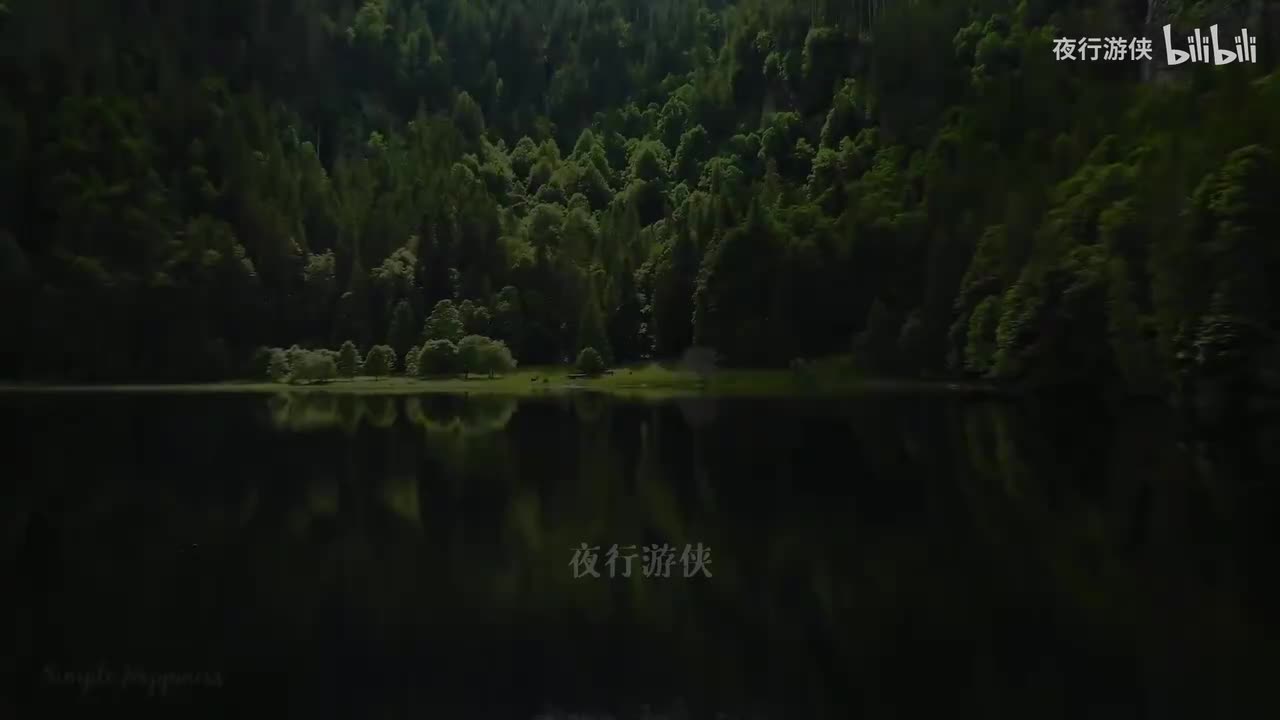 撕夜 - 王恰恰