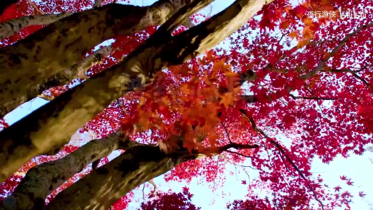 曾经心痛 - 韩小欠