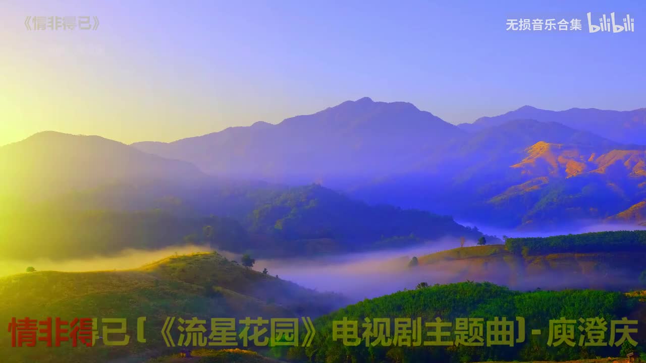 017. 庾澄庆 - 情非得已