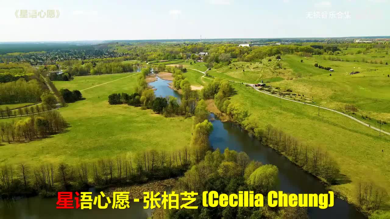 019. 张柏芝 - 星语心愿