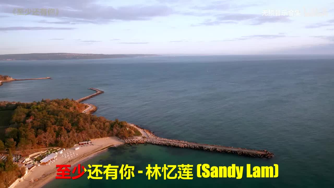 016. 林忆莲 - 至少还有你