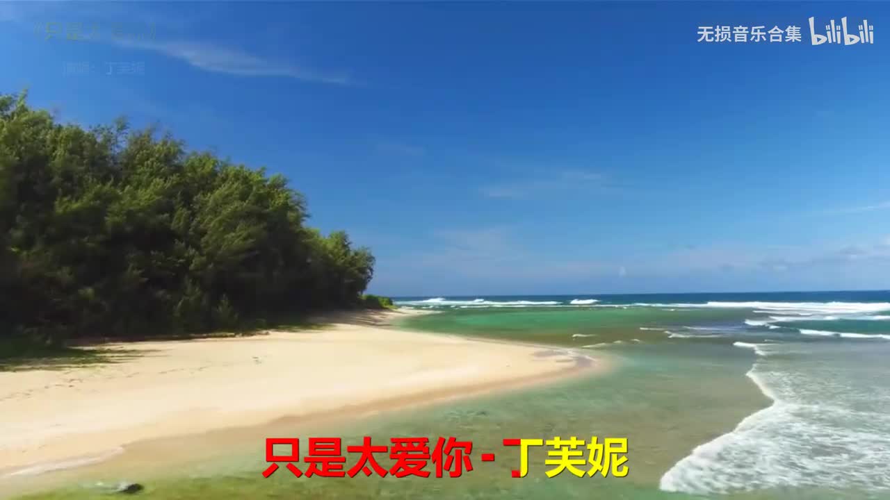 081. 丁芙妮 - 只是太爱你