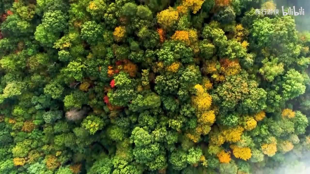把悲伤留给自己 - 孙露