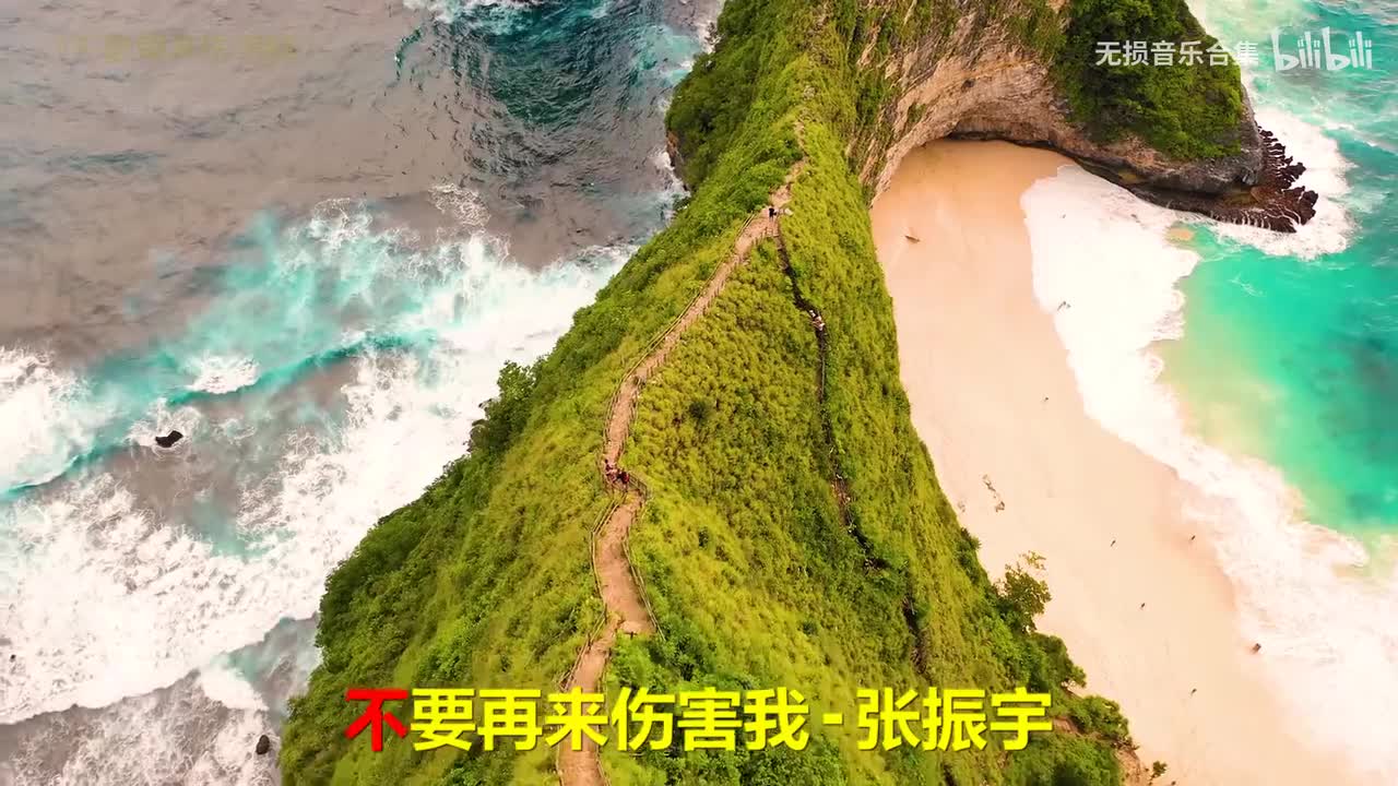 004. 张振宇 - 不要再来伤害我