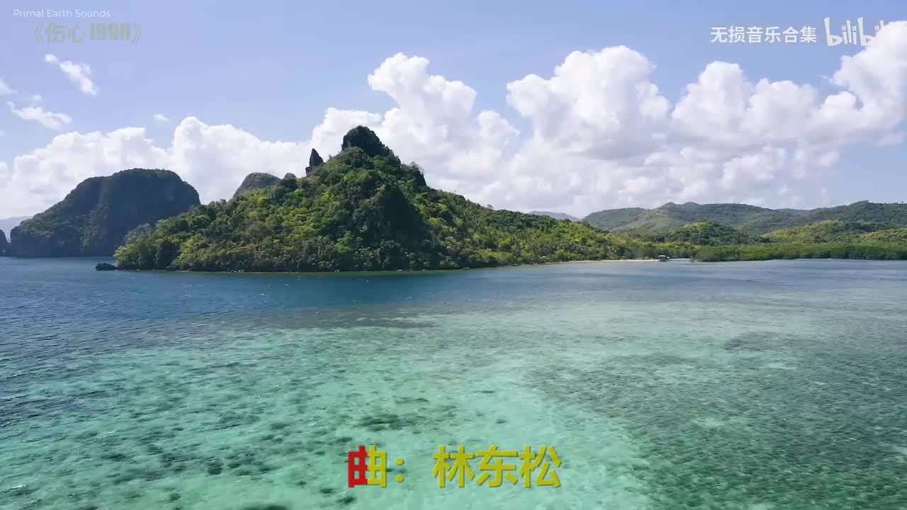 022. 王杰 - 伤心1999