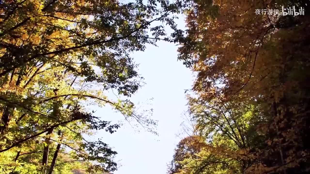 朋友别哭 - 陈瑞