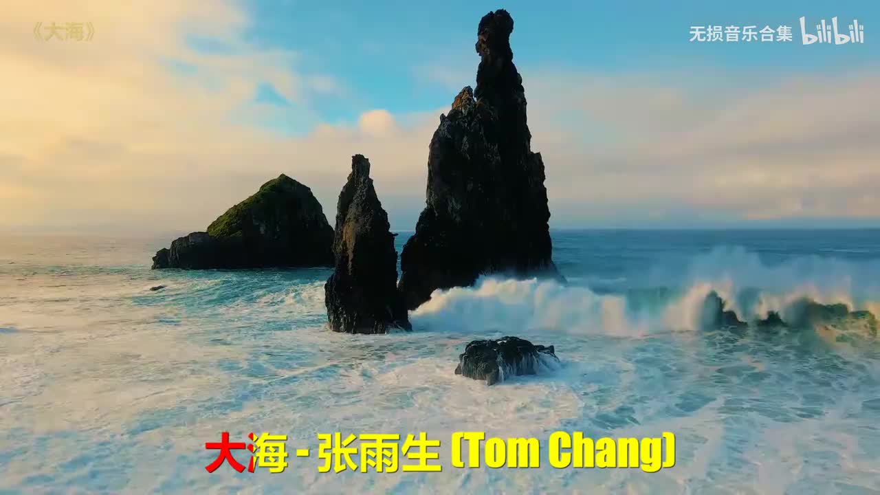 078. 张雨生 - 大海