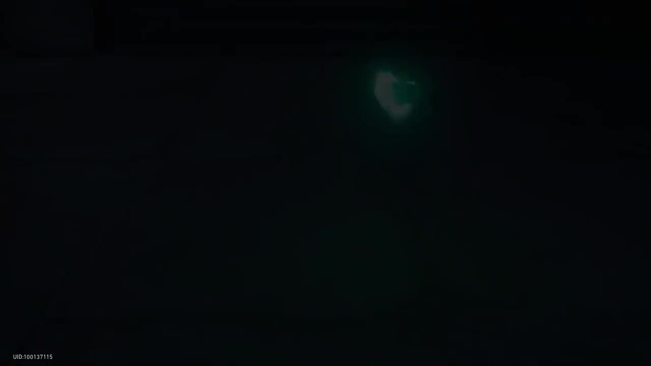 【1.5 开拓续闻 游园惊梦】附身