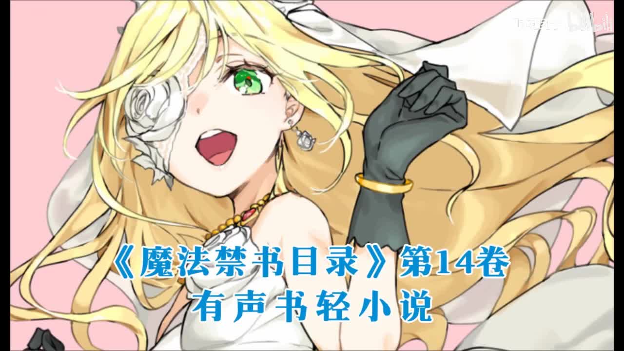 《魔法禁书目录》第14卷