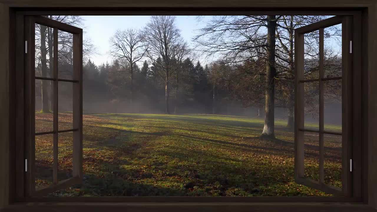 森林物语- Forest singing