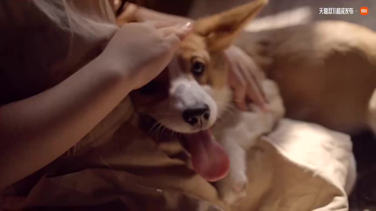 小米 14 5G 系列广告（3）