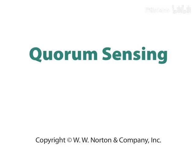 Quorum Sensing