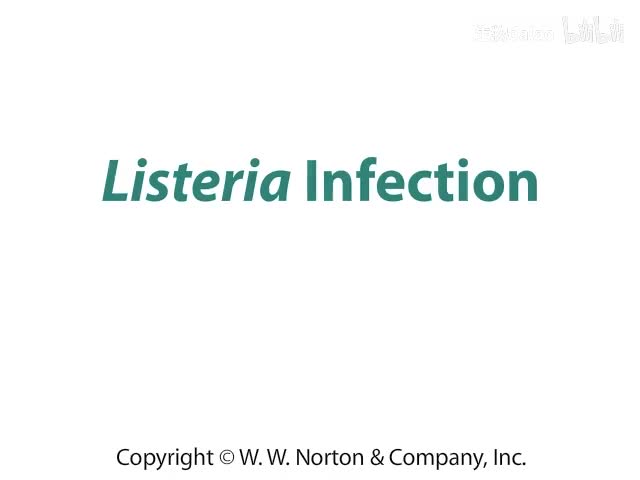 Listeria Infection