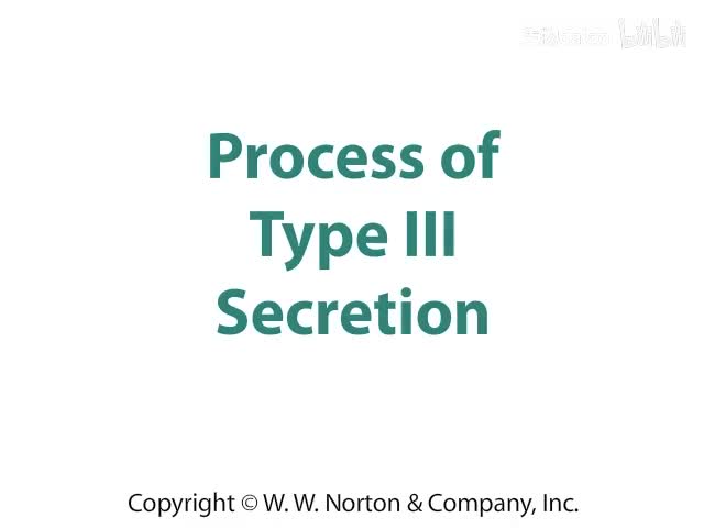 Process of Type III Secretion