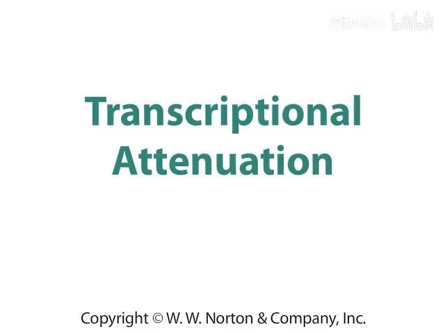 Transcriptional Attenuation