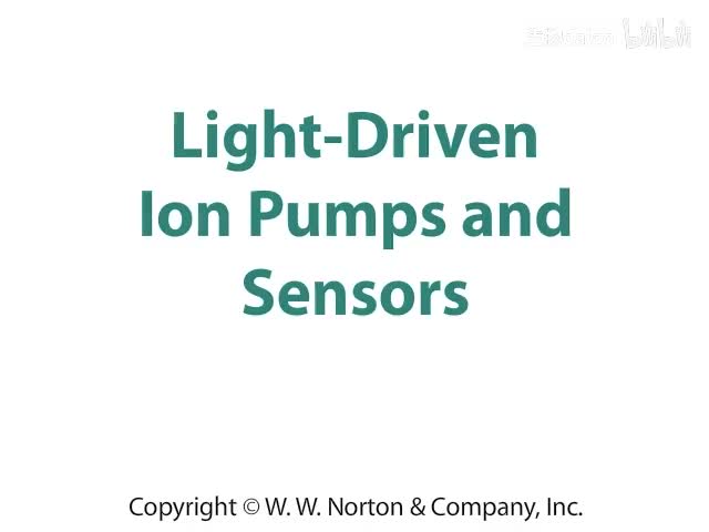 Light-Driven Ion Pumps and Sensors