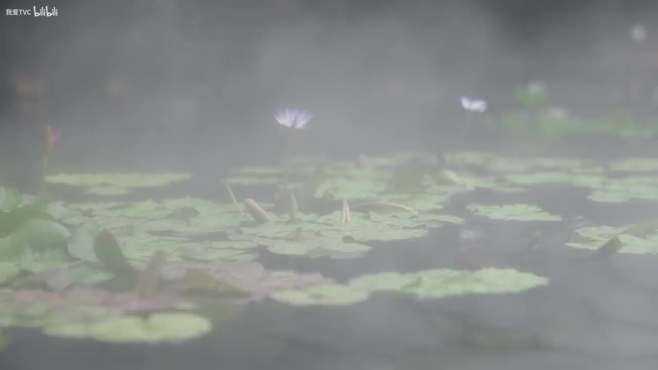 CSP-2471.宋朝美学餐厅《图宴》 美食篇.我爱TVC