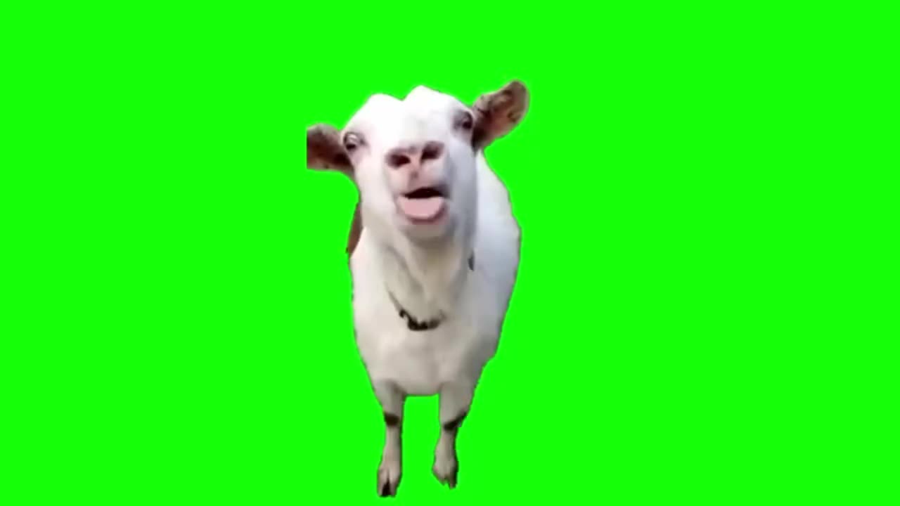 吐舌头山羊（有声）