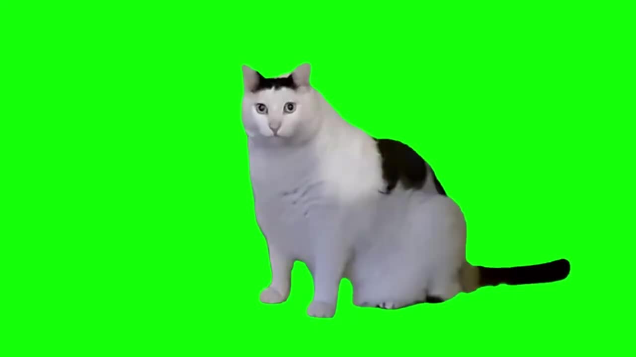 huh猫接手榴弹（有声）