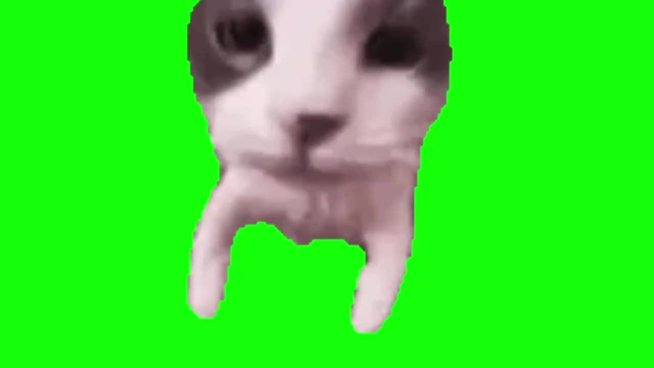 亲亲猫猫头（有声）