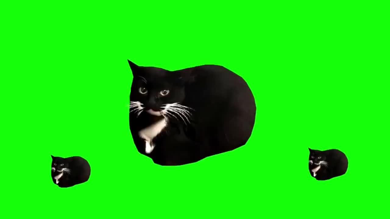 三只臭猫（有声）