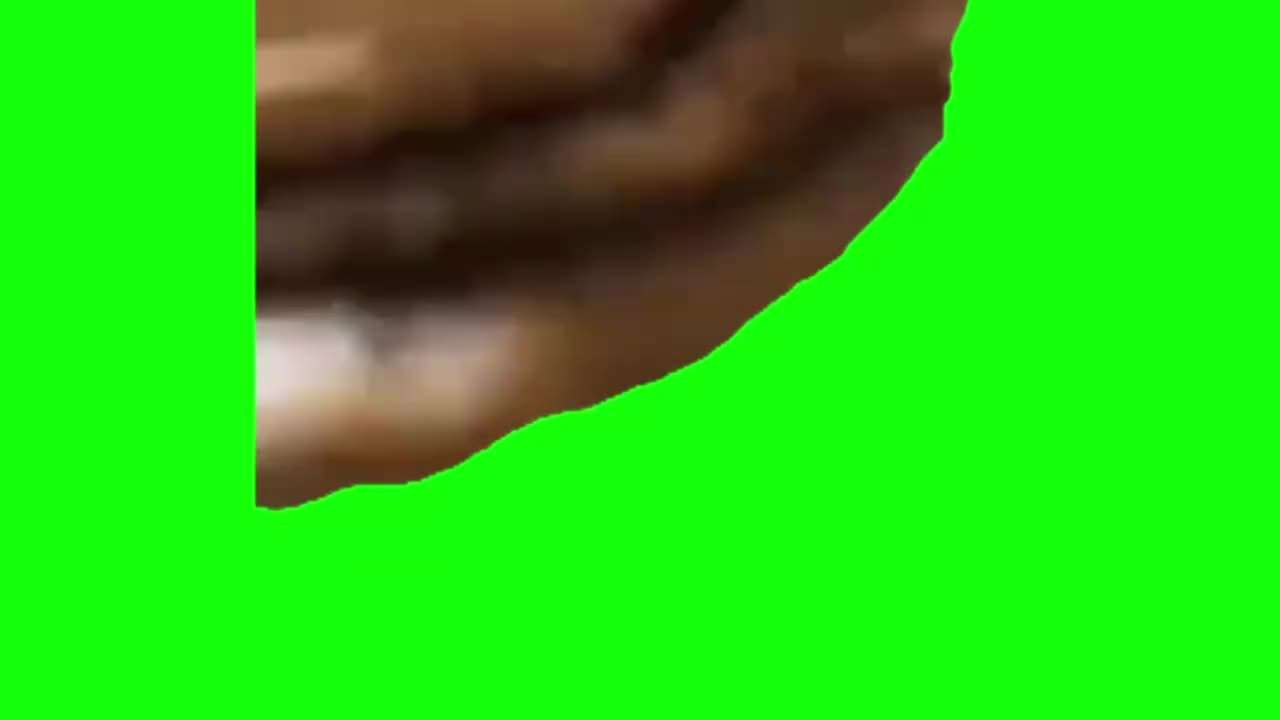 芝士猫猫（有声）