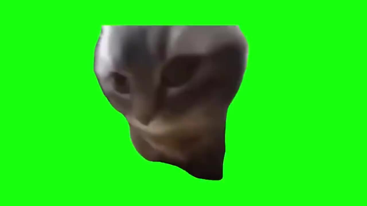 劲爆摇头小猫（有声）