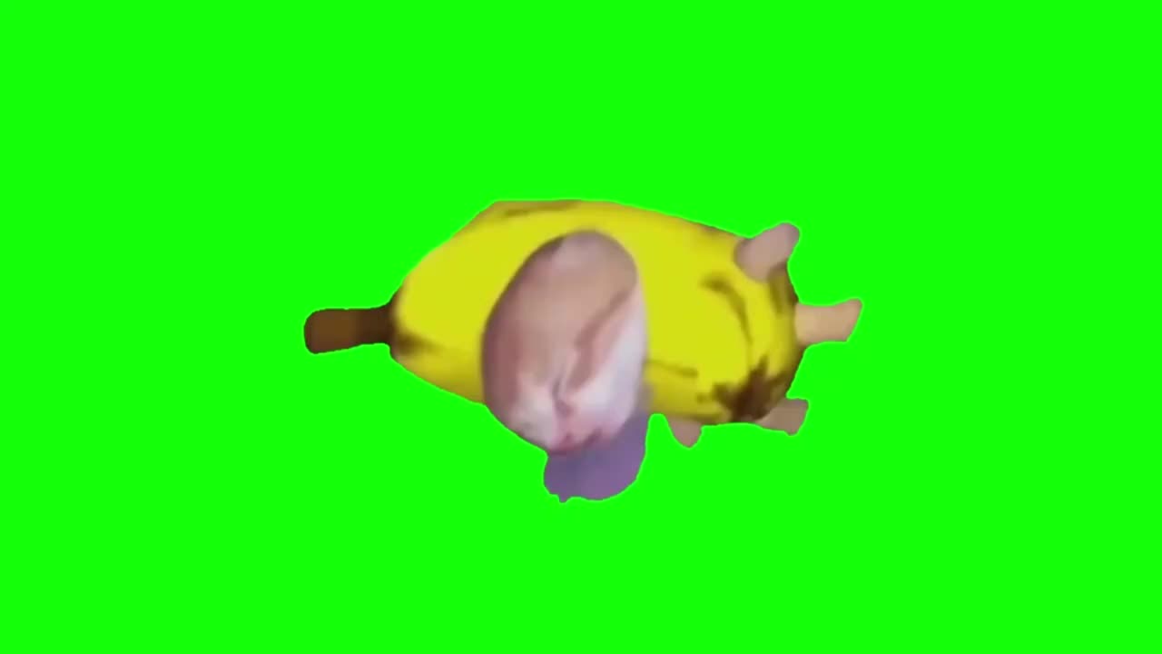 昏睡流口水香蕉猫（有声）