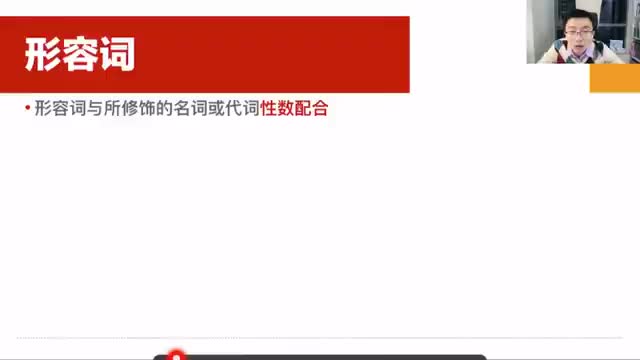 20. 形容词的性数配合与位置