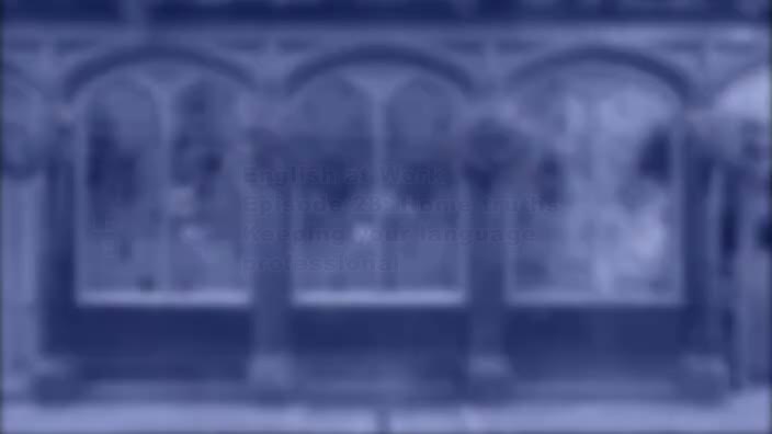 28 - Keeping your language professional