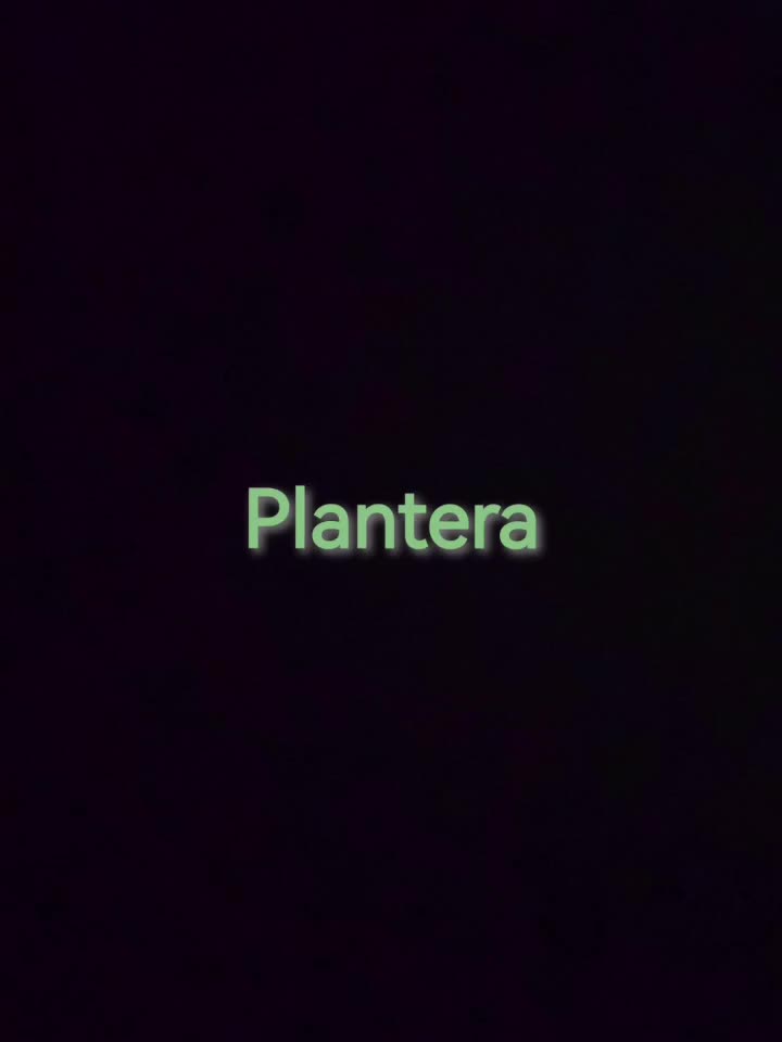 泰拉瑞亚1.4.5版本 世纪之花--Plantera（世纪之花）