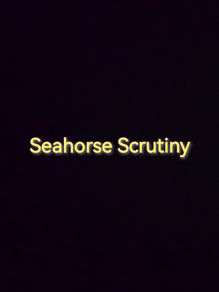 （未完成）泰拉瑞亚Calamity模组 海马之督--Seahorse Scrutiny（卧龙海马）
