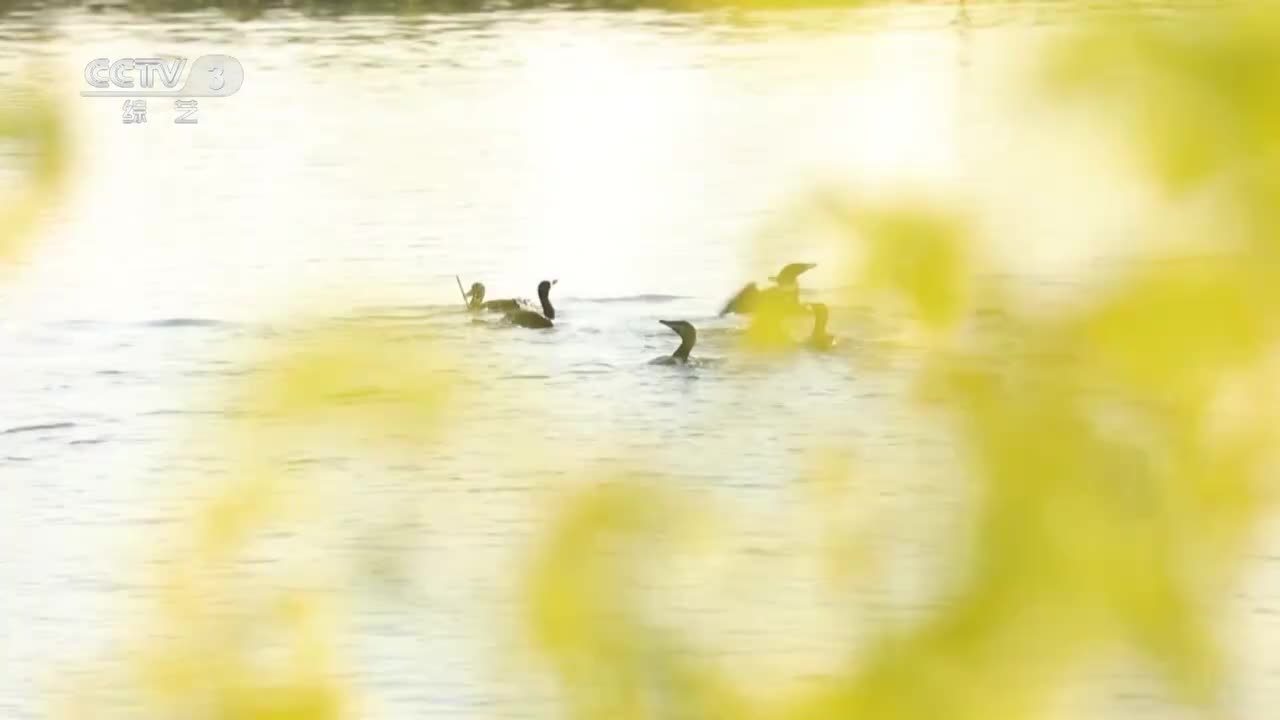 03 2024春季包装-ID2