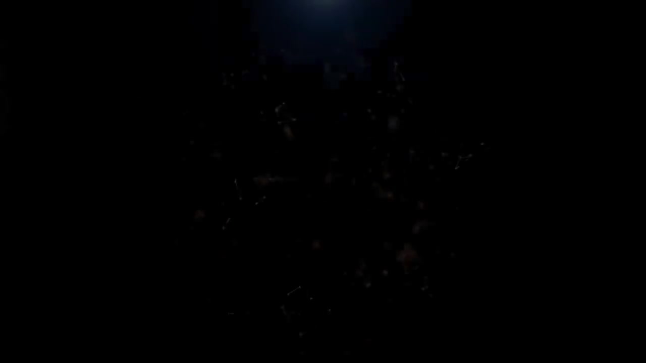 54-54.格蕾塔 桑伯格