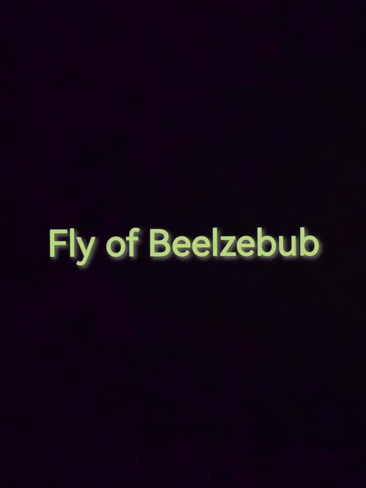 泰拉瑞亚Calamity模组 飞翔的别西卜--Fly of Beelzebub（瘟疫使者歌莉娅）