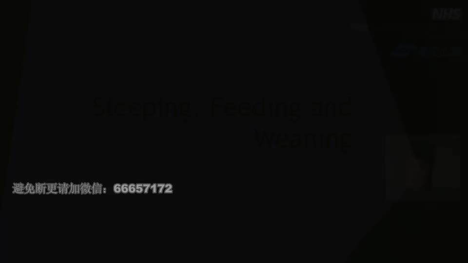 16 视频课：睡眠、哺育和断奶