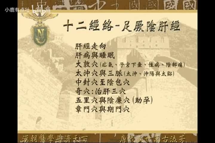 《针灸大成》第7集