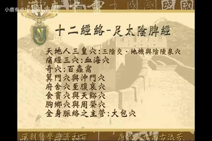 《针灸大成》第4集