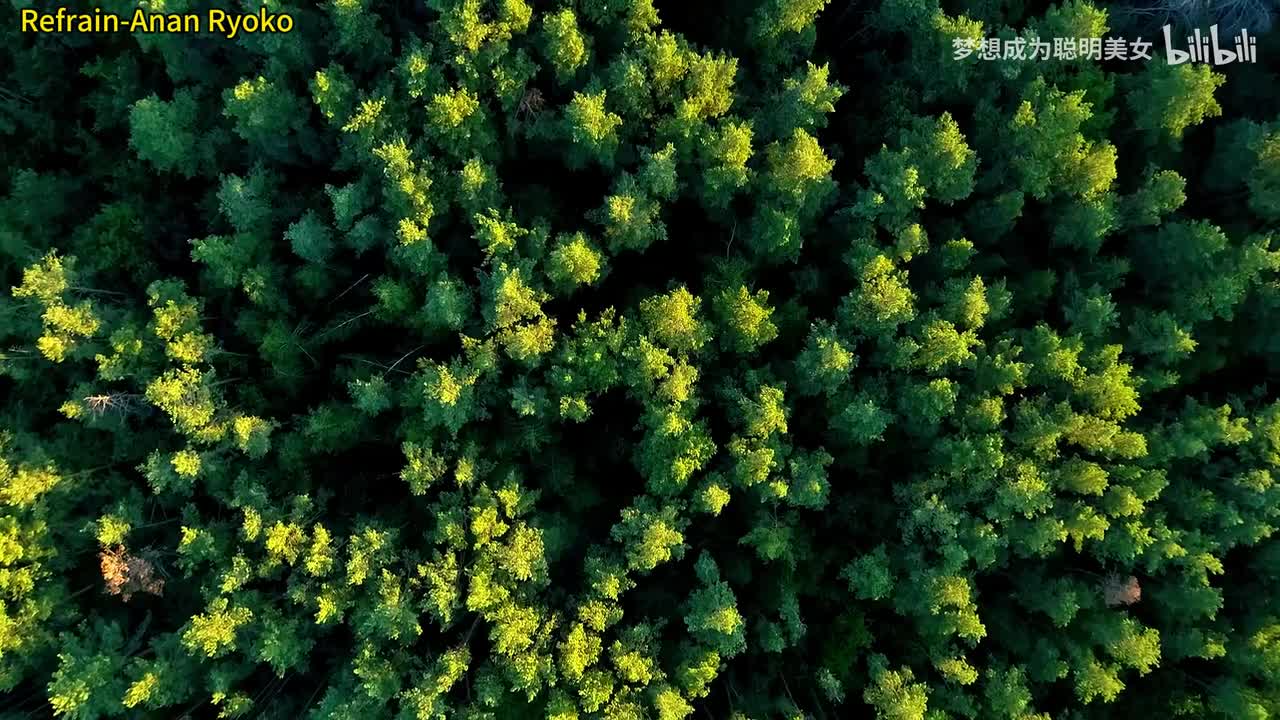 14.Refrain-Anan Ryoko