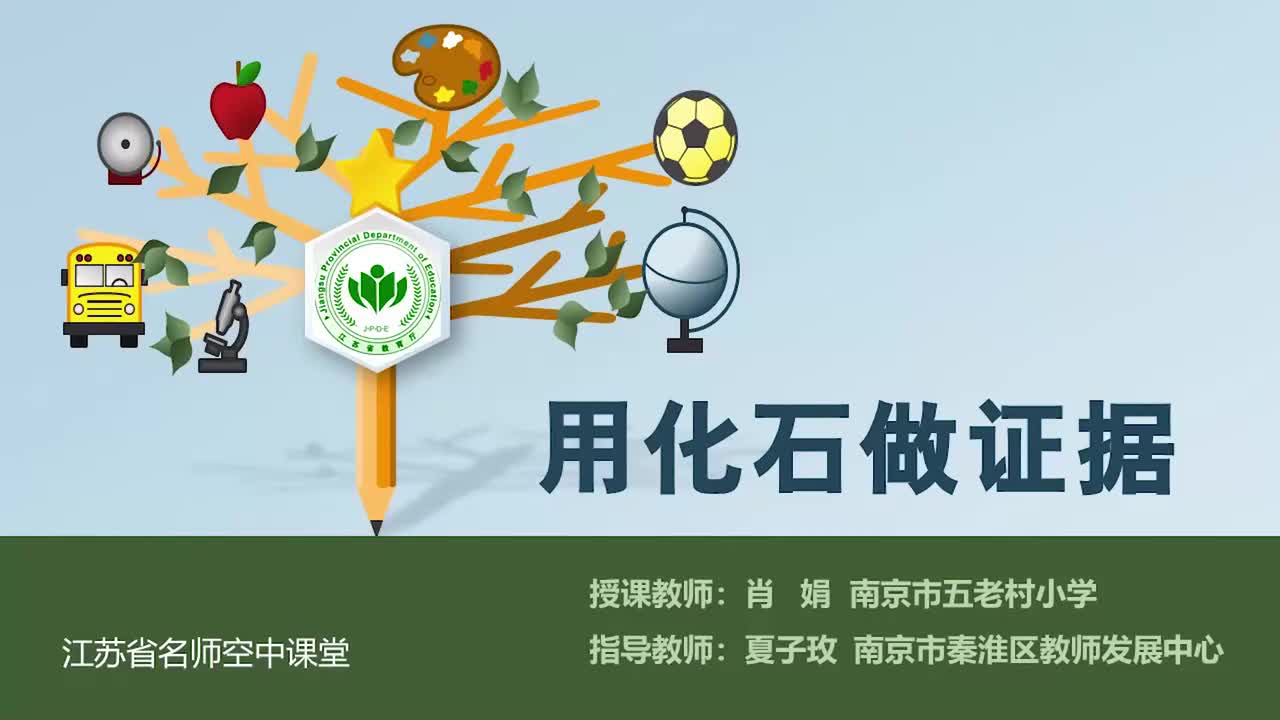 10-用化石做证据