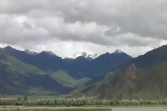 《华严经》第190讲【第四会夜摩天宫】十行品8